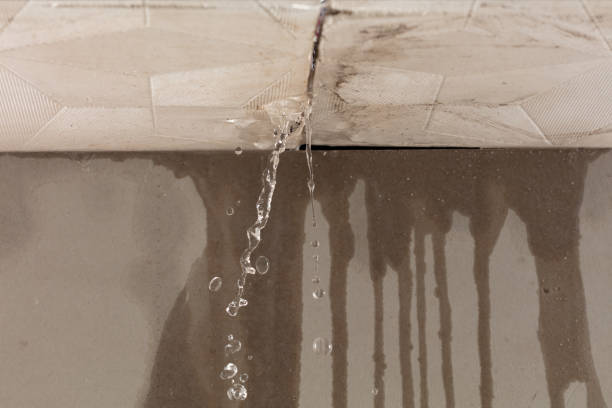 Professional Sewage Cleanup technician working in Hadley, MA